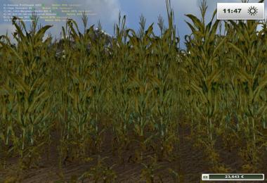 Foliage Maize Diffuse v1.0