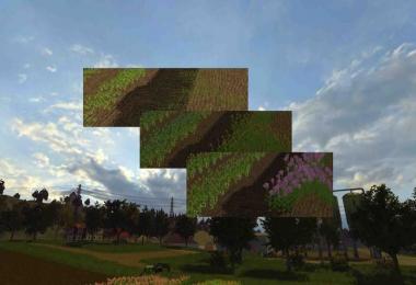 Fruit varieties clover and alfalfa v1.1