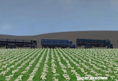 Map Parana Sul Beta v0.8