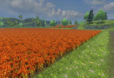 Platinum Xanthos v14.2