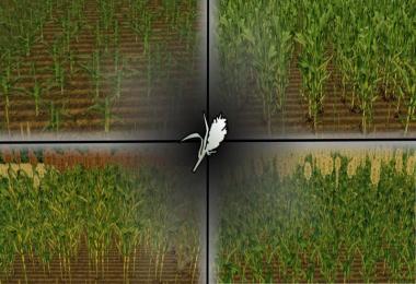 Sudan grass for installation v1.0