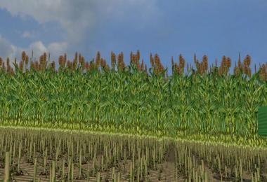 Sudan grass for installation v1.0