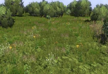 There's always something to improve...