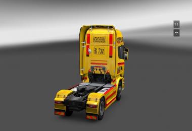 CAT skin for Scania Streamline