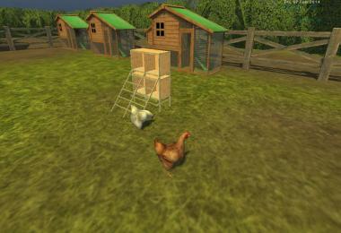 Chicken Nesting Boxes