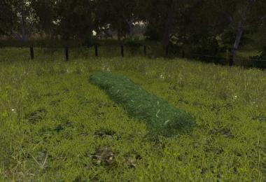Grass texture v1.0