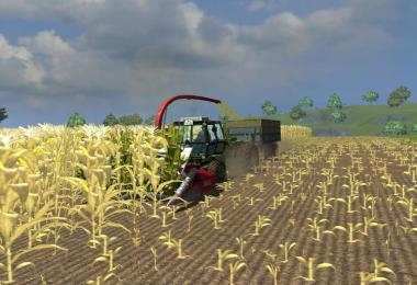 Kemper Champion 3000 v2.1 Beta