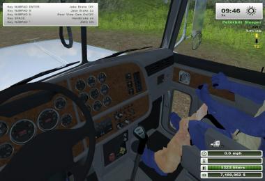 MR 2007 PETE 379 SLEEPER CAB