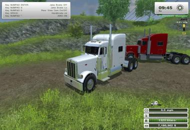 MR 2007 PETE 379 SLEEPER CAB