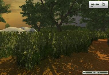 Recanto Da Saudade MAP