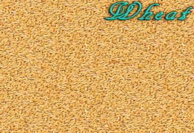 Textures plan and Particle v1.0