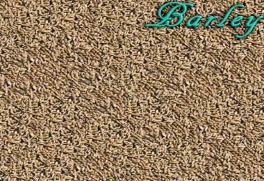 Textures plan and Particle v1.0