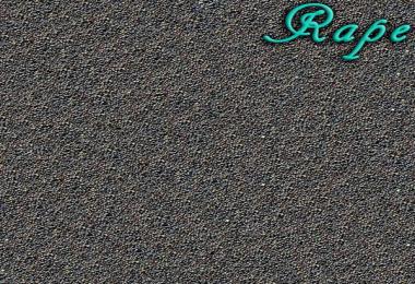 Textures plan and Particle v1.0