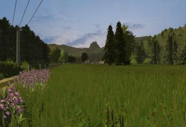 Grass texture v1.0