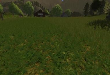 Grass texture v1.0