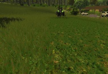 Grass texture v1.0