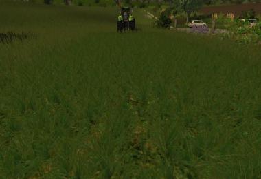 Grass texture v1.0