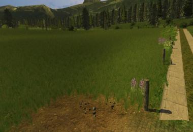 Grass texture v1.0