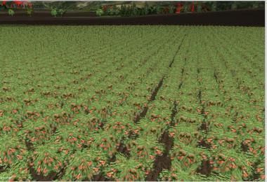 New fruit texture v2