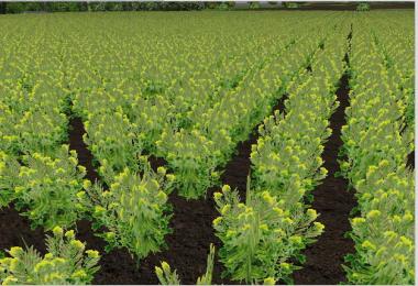 New fruit texture v2