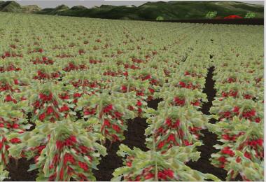 New fruit texture v2