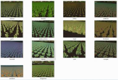 Several new fruits v3