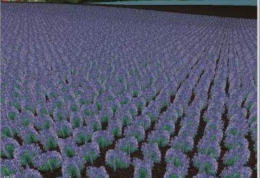 Several new fruits v3