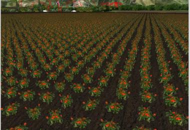 Several new fruits v3