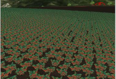 Several new fruits v3