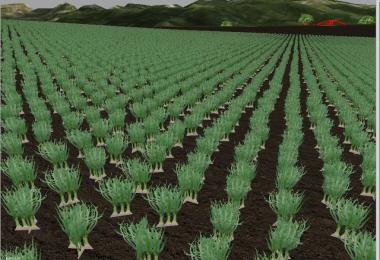 Several new fruits v3