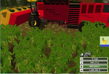 Textures with new fruits v3.0