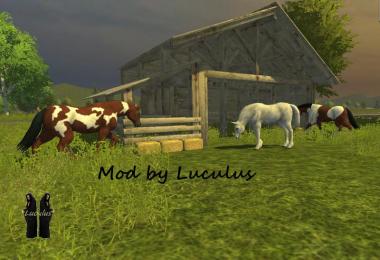 Horse Stable v1.0