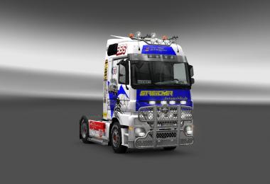 Mercedes Rally Team v1.0