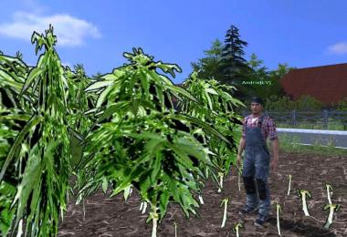 MIG Map MadeinGermany Celle Region v0.88.9 Beta