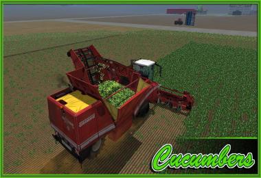 Grimme Maxtron 620 MultiFruit V1.2