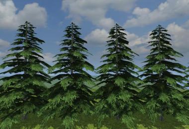 Green fir v1.0