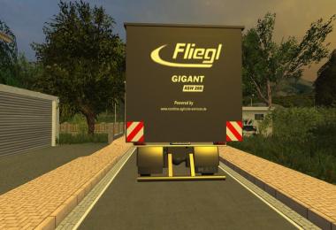 MAN TGX ASW v1.0