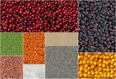 MultiFruit Texturen v2.0
