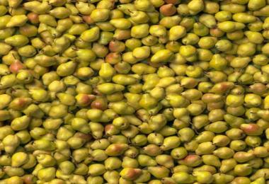 MultiFruit Texturen v2.0