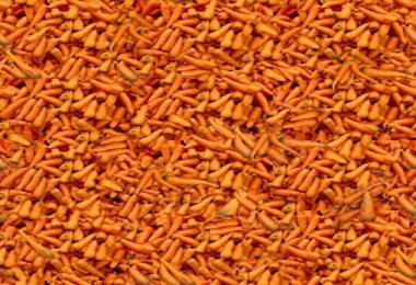 MultiFruit Texturen v2.0