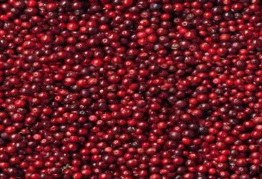 MultiFruit Texturen v2.0