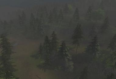 Forest Edition v1.0