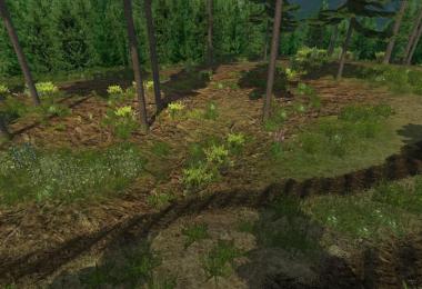 Mountain valley forest Edition v1.0