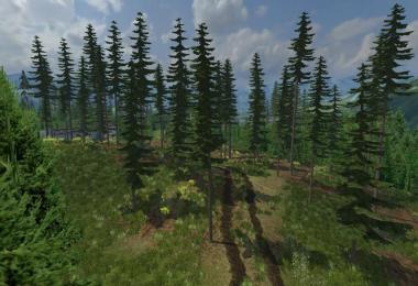 Mountain valley forest Edition v1.0