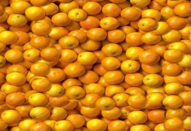 Multi Fruit textures v2.1