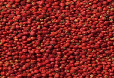 Multi Fruit textures v2.1