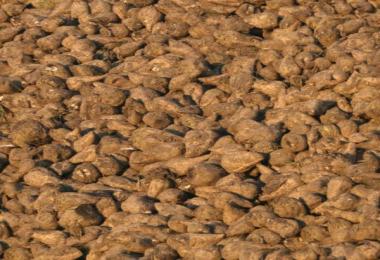 Multi Fruit textures v2.1