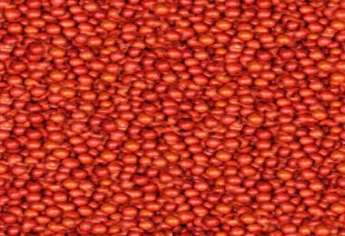 Multi Fruit textures v2.1