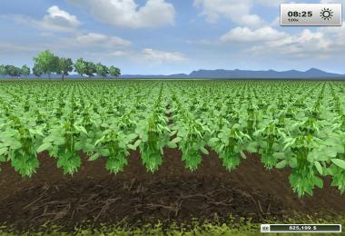 Reaper's Authentic Soybean Texture