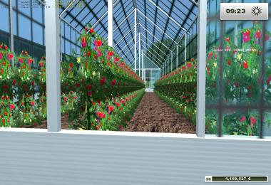 Placeabe Tomato Greenhouse 1.0